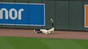Celebrate Minnesota Twins GIF by MLB