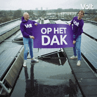 Verkiezingen Stemvolt GIF by VoltNL