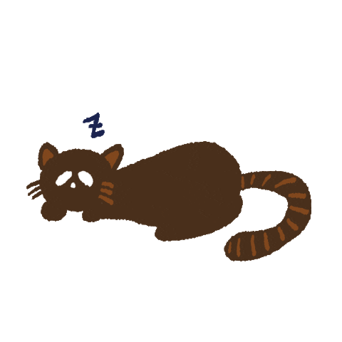 studiofnc giphyupload cat 猫 bucha Sticker