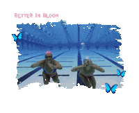 Swimming Pool Sticker by SwimOutlet