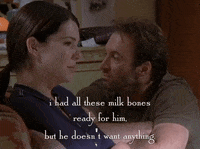 season 6 netflix GIF by Gilmore Girls 