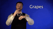 sign language grapes GIF by Sign with Robert