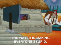 nickrewind nicksplat angry beavers GIF