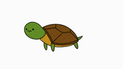 La_Ardillin coronavirus covid19 covid-19 quedateencasa GIF