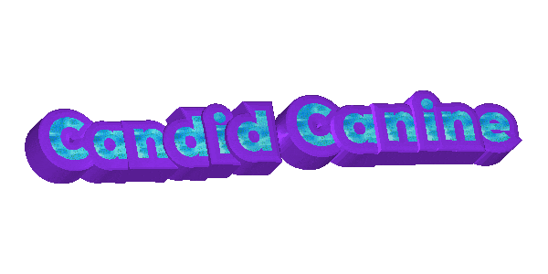 Candid Canine Sticker by FenwayBark