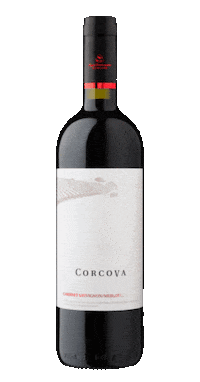 Winery Winelover Sticker by Crama Viticola Corcova