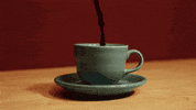 Sub Pop Coffee GIF by Sub Pop Records