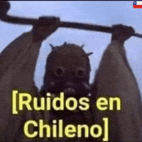 Chechito_chileXd chileno ruidos chechitochile chile meme GIF
