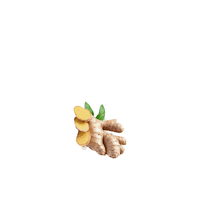 Fitness Ginger Sticker by Lady Buddha Kombucha