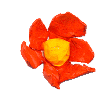 Flower Blooming Sticker by taylorleenicholson