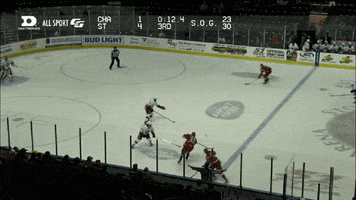 hockey goal GIF by Charlotte Checkers