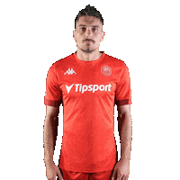 Liptovsky Mikulas Football Sticker by Fortuna Liga