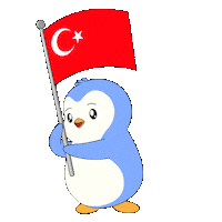 Star Penguin Sticker by Pudgy Penguins