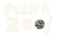 hello2millie peekazoo Sticker