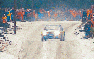 rally GIF