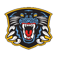 ice hockey panthers Sticker by Elite Ice Hockey League