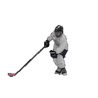 Ice Hockey Sticker by HockeyDiversityAlliance