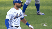 Celebrate Ny Mets GIF by New York Mets