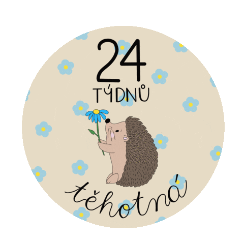 Im Pregnant 24 Weeks Sticker