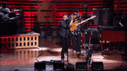 HallmarkChannel dog dogs puppy country music GIF