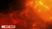 Street Fighter Idk GIF by Carson-Newman Athletics