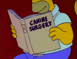Season 3 Book GIF by The Simpsons