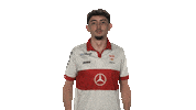 Vfb Stuttgart Vbl Sticker by Bundesliga