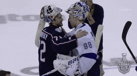 2019 stanley cup playoffs hug GIF by NHL