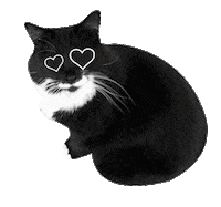 cat heart Sticker by Roundhouse