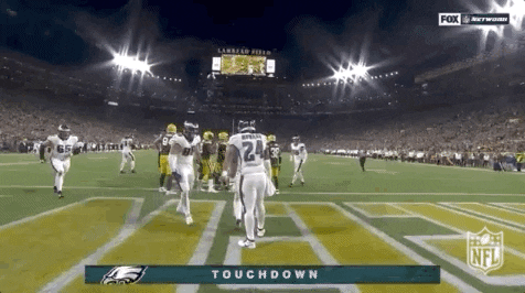 Philadelphia Eagles Football GIF by NFL