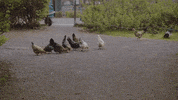 Confused Grin GIF by Glassriver Production
