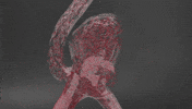 uoft GIF