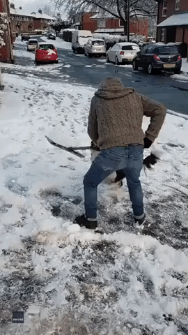 Frisky Dog Wrangles Snow Shovel From Owner in Northern England