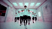 We Roll No GIF