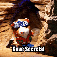 Guinea Pig Cave GIF by Guinea Gambino