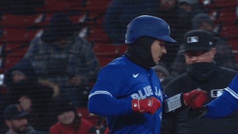 Blue Jays Celebration GIF by Toronto Blue Jays