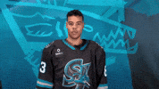 San Jose Hockey GIF by San Jose Barracuda