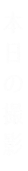 Camera カメラ Sticker