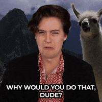 Jimmy Fallon Comedy GIF by The Tonight Show Starring Jimmy Fallon