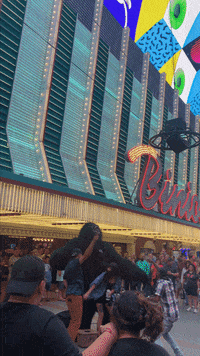 Las Vegas GIF