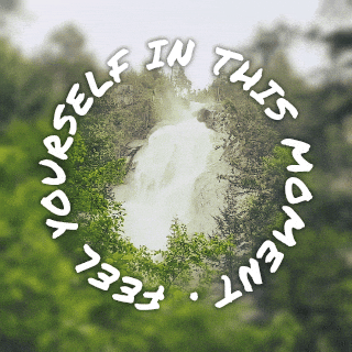 M-a-ex giphyupload nature green water GIF
