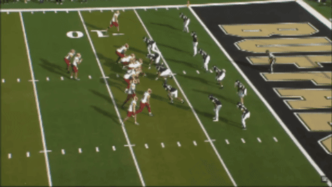 DBSports giphygifmaker GIF