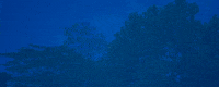 Uwista GIF by UWI St. Augustine
