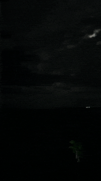 Puerto Rico Summer GIF