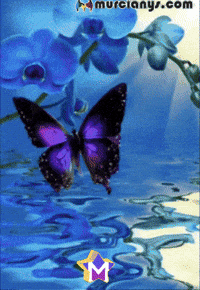 Amigos Flores GIF by Murcianys LLC