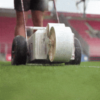 Football Club GIF by Widzew Łódź