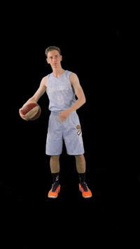 acslsports basketball ball ready move GIF