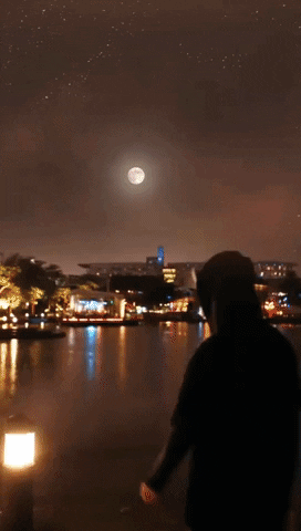 IXSwap giphyupload GIF