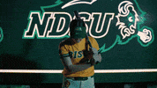 Ndsu Softball GIF by NDSU Athletics