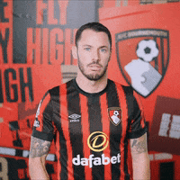 Football Army GIF by AFC Bournemouth